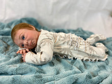 Load image into Gallery viewer, Reborn Baby Doll Irelyn
